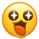 snIow, 年伊利内蒙